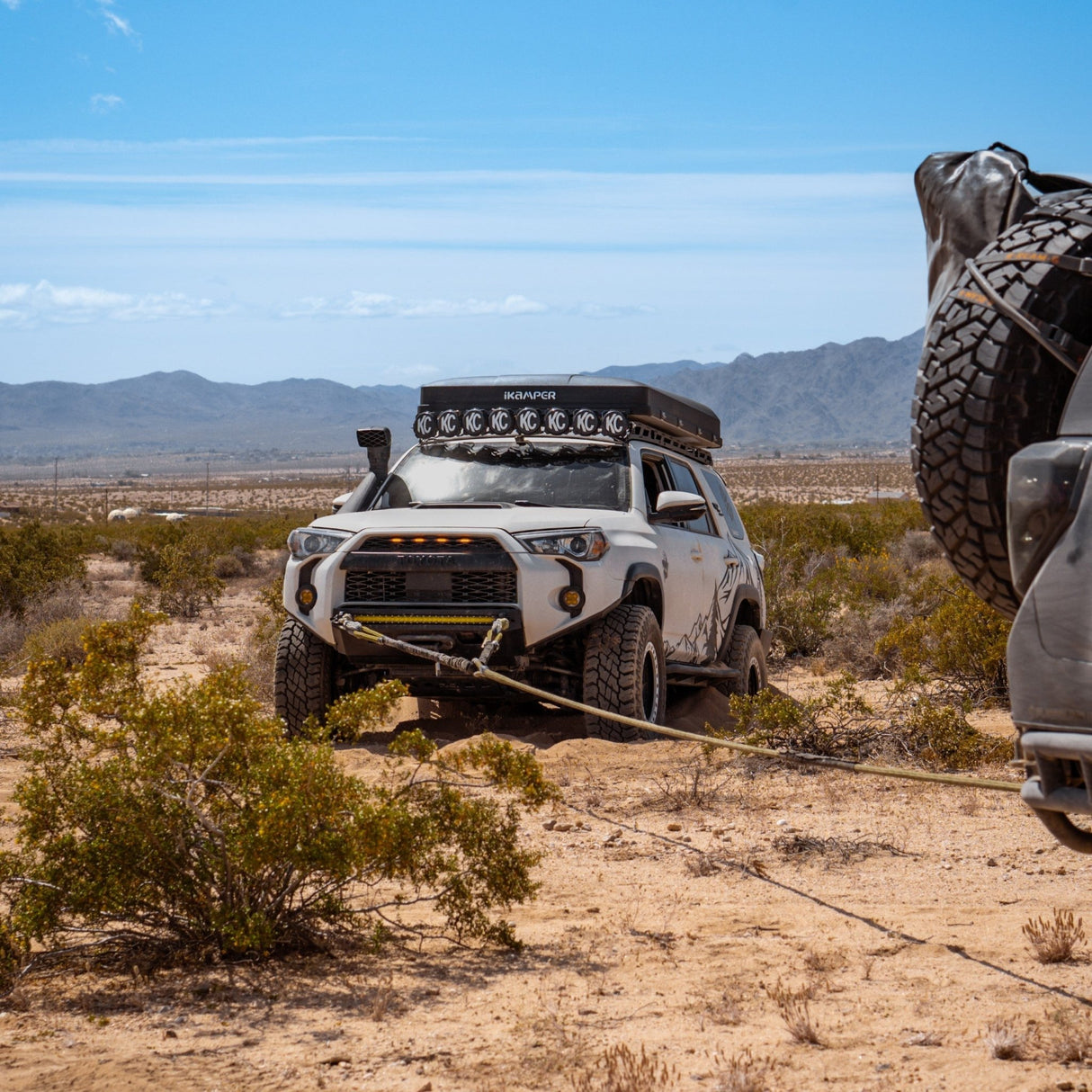 10' Static Bridle - Magnadyne