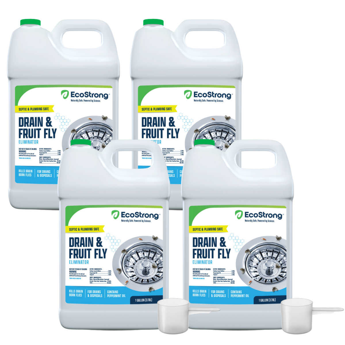 Drain and Fruit Fly Eliminator