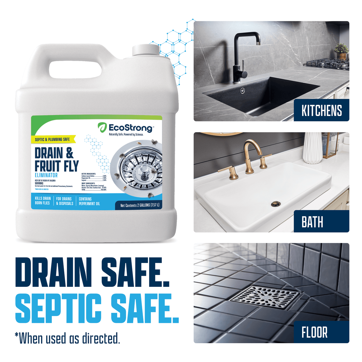 Drain and Fruit Fly Eliminator