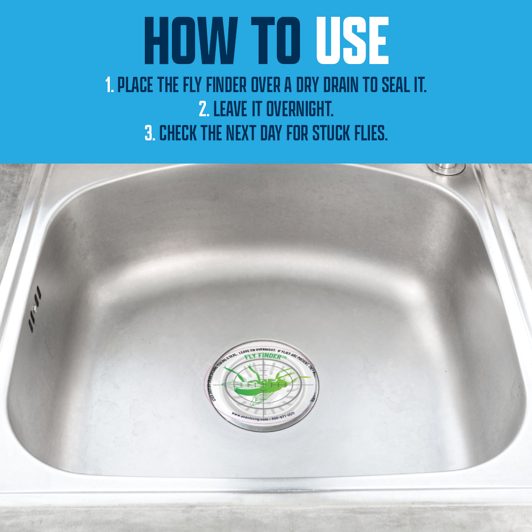 Drain and Fruit Fly Eliminator