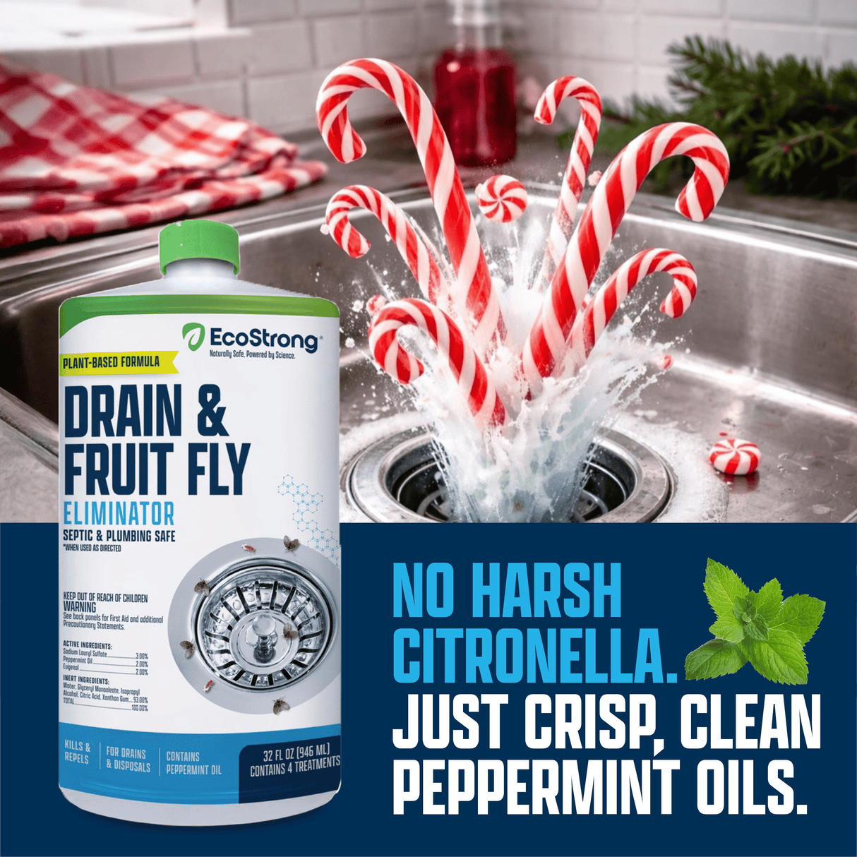 Drain and Fruit Fly Eliminator