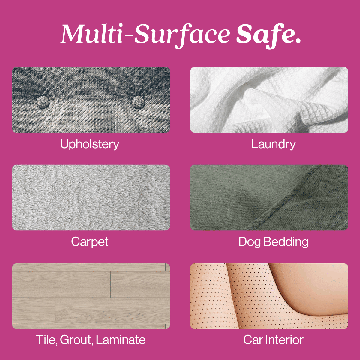Cat Stain and Odor Eliminator - Magnadyne