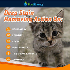 Cat Stain and Odor Eliminator - Magnadyne