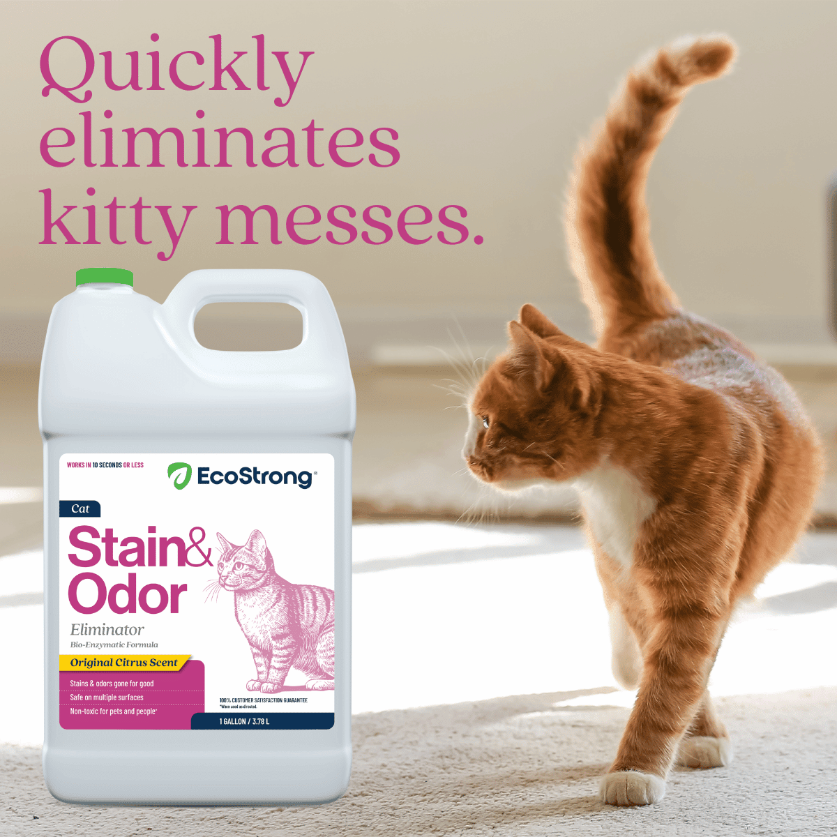 Cat Stain and Odor Eliminator - Magnadyne