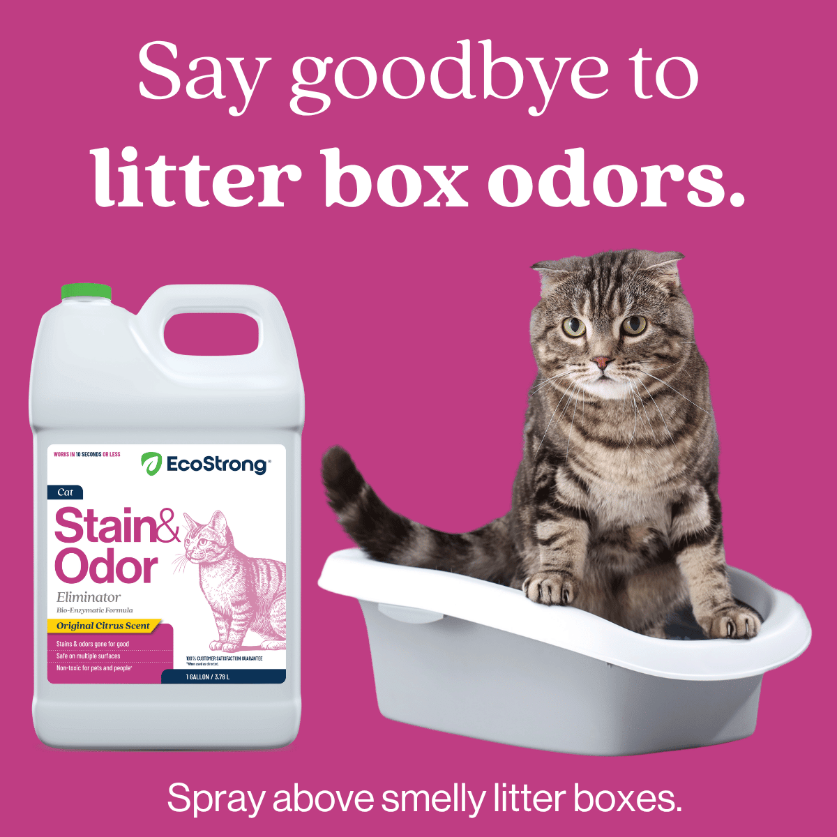 Cat Stain and Odor Eliminator - Magnadyne