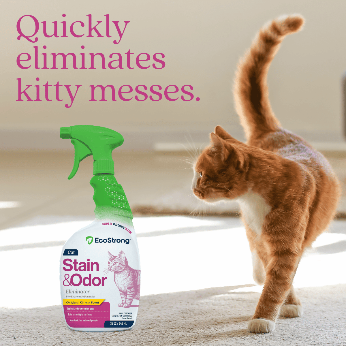 Cat Stain and Odor Eliminator - Magnadyne