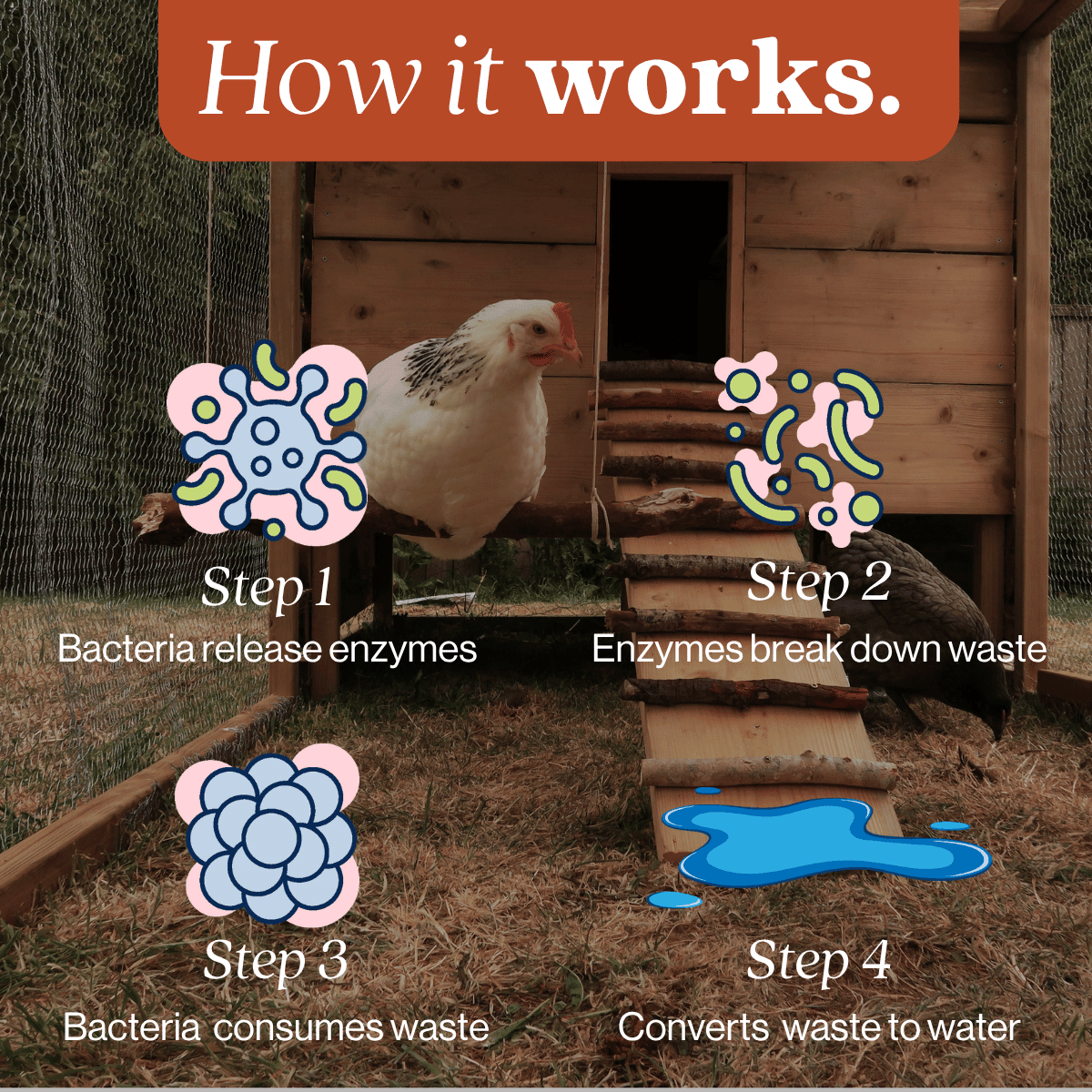 Chicken Coop Odor Eliminator - Magnadyne