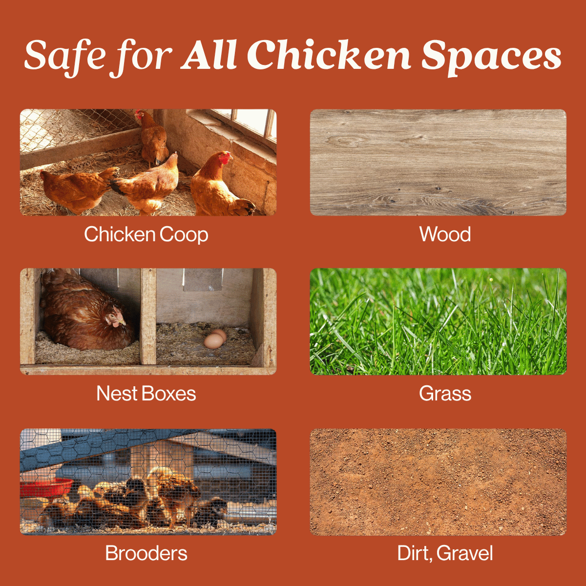 Chicken Coop Odor Eliminator - Magnadyne