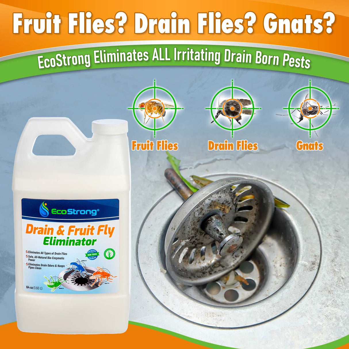Drain and Fruit Fly Eliminator - Magnadyne