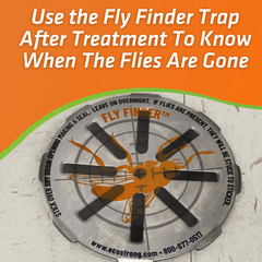 Drain and Fruit Fly Eliminator - Magnadyne