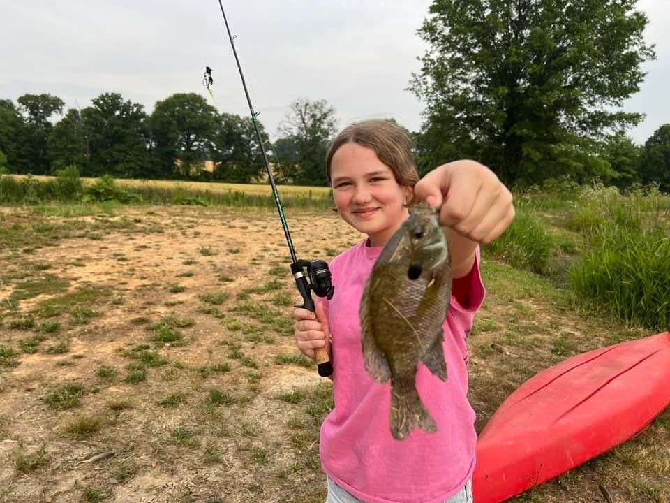 Grasshopper Fishing Rod - Magnadyne