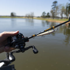 Jerkbait Fishing Rod - Magnadyne