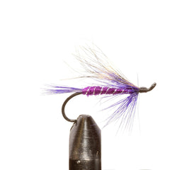 JHFLYCO Loaded Foam Fly Box - Salmon Fly Assortment - Magnadyne