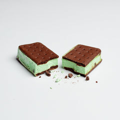 Mint Chocolate Chip Ice Cream Sandwich - Magnadyne