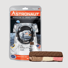 Neapolitan Ice Cream Sandwich - Magnadyne