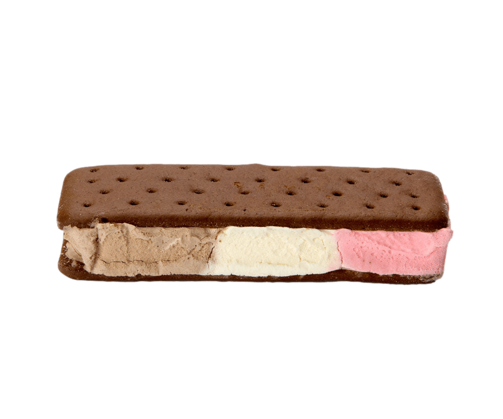 Neapolitan Ice Cream Sandwich - Magnadyne