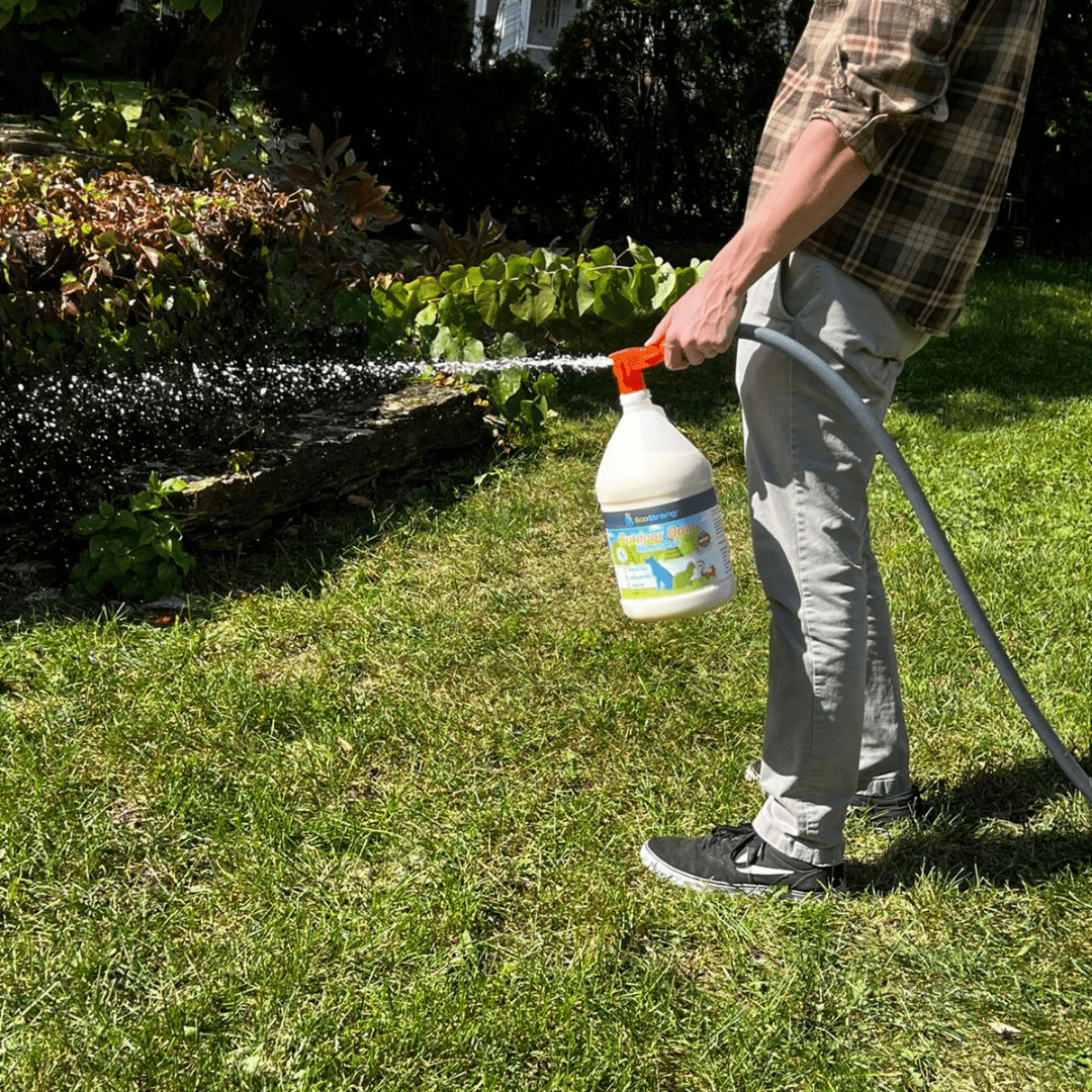 Outdoor Odor Eliminator - Magnadyne