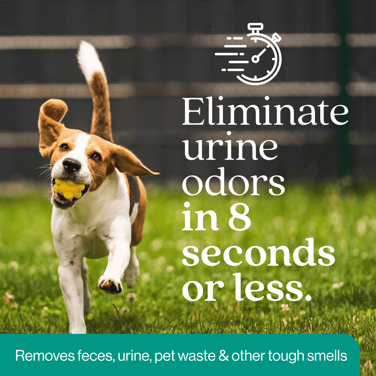 Outdoor Odor Eliminator - Magnadyne