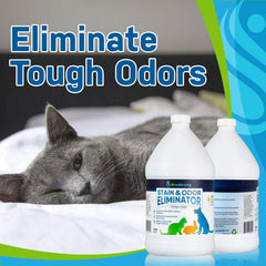 Pet Stain and Odor Eliminator - Magnadyne