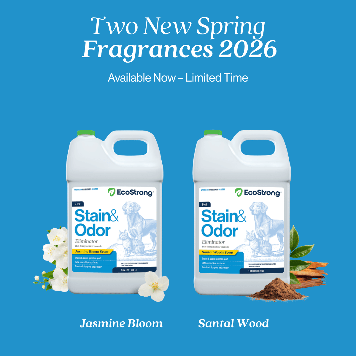Pet Stain and Odor Eliminator - Magnadyne