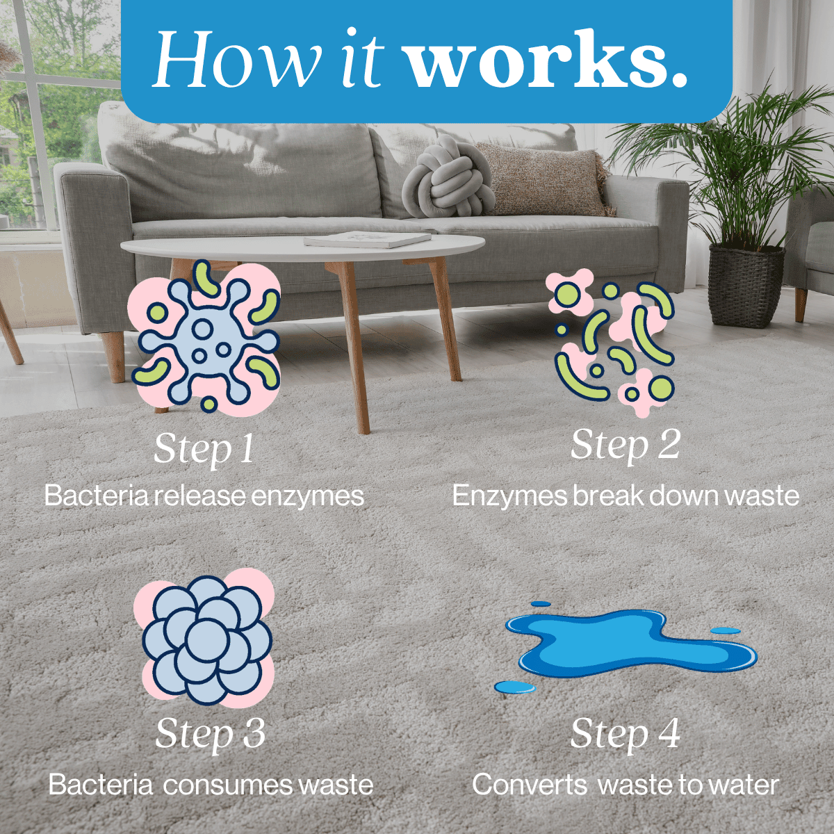 Pet Stain and Odor Eliminator - Magnadyne
