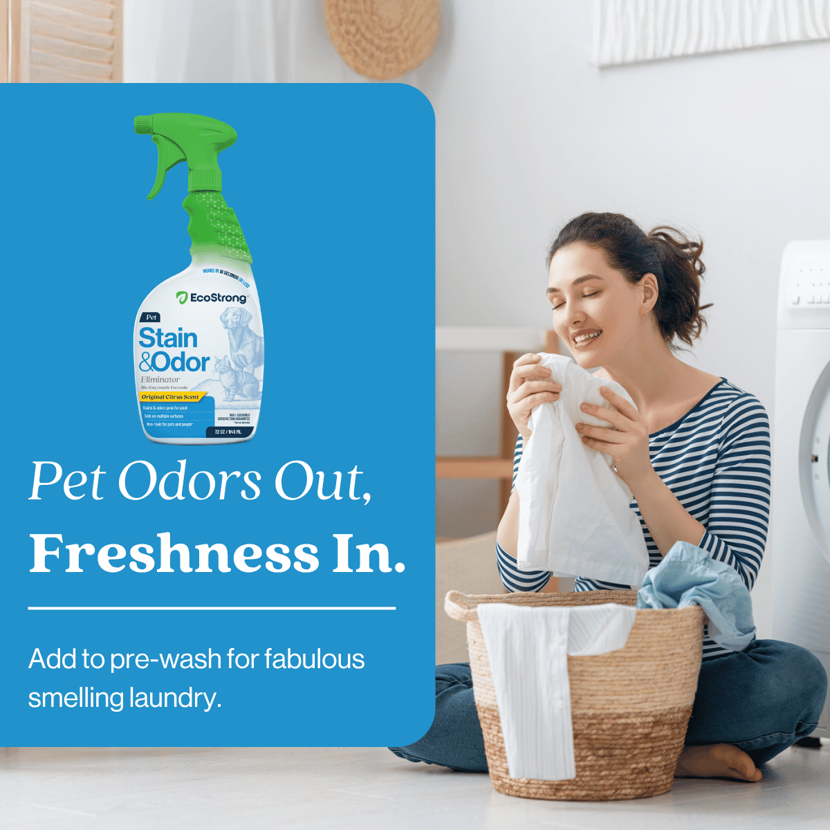 Pet Stain and Odor Eliminator - Magnadyne