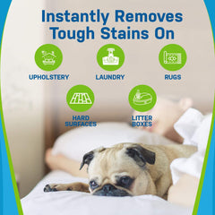 Pet Stain and Odor Eliminator - Magnadyne