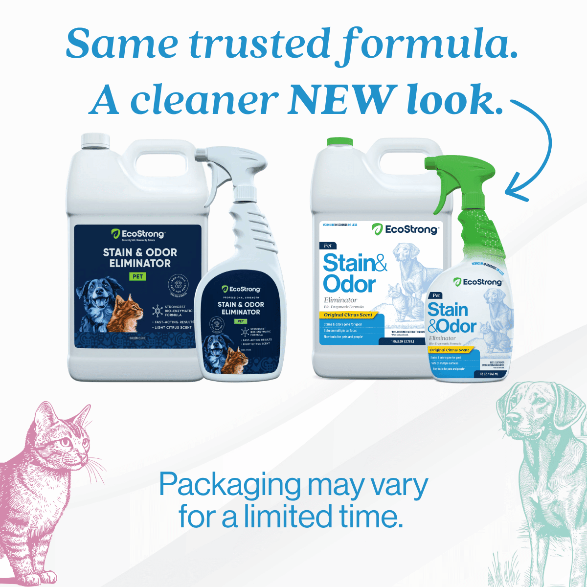 Pet Stain and Odor Eliminator - Magnadyne