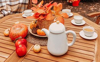 RV Comfort Food - Cooking a Thanksgiving in an RV Kitchen - Magnadyne