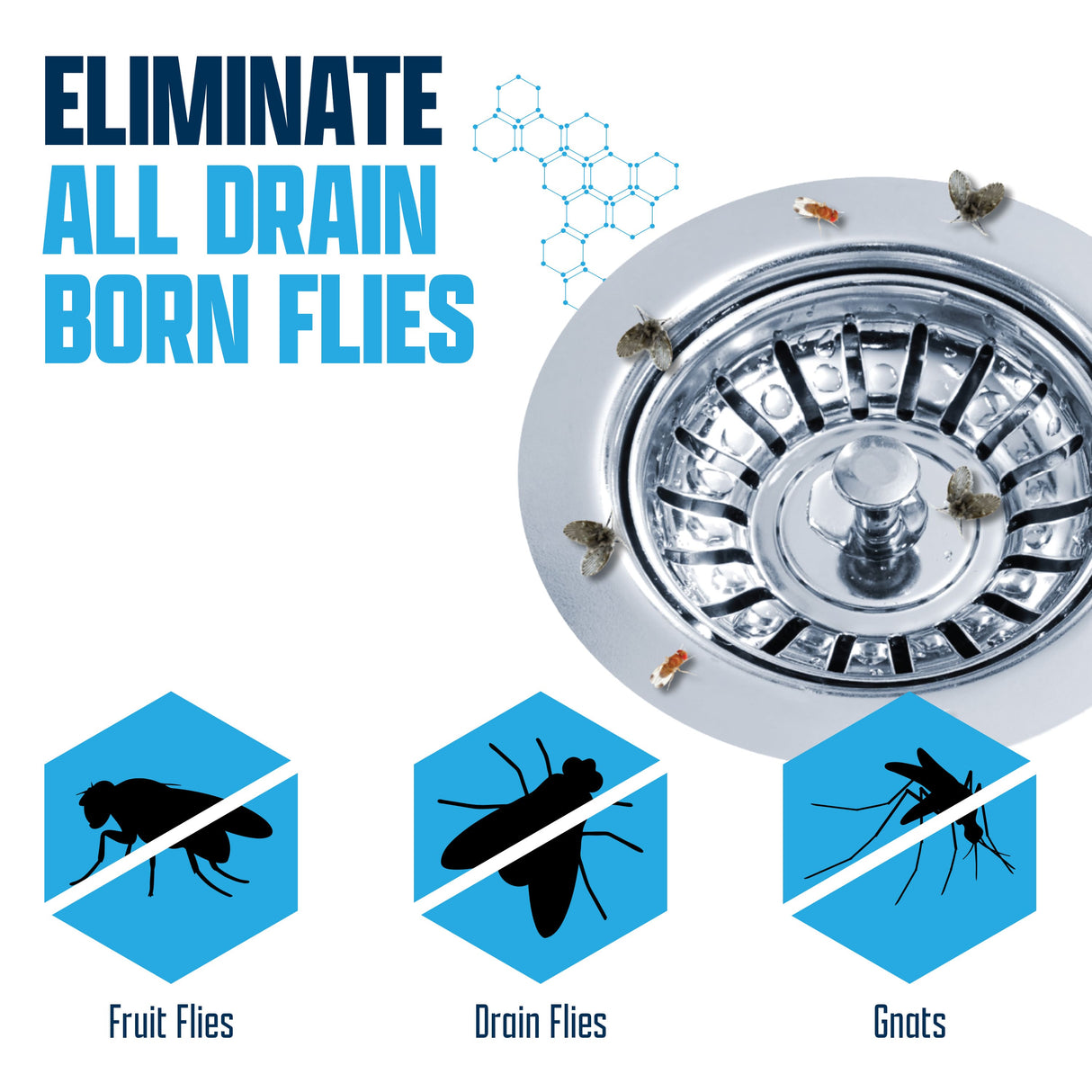 Drain and Fruit Fly Eliminator