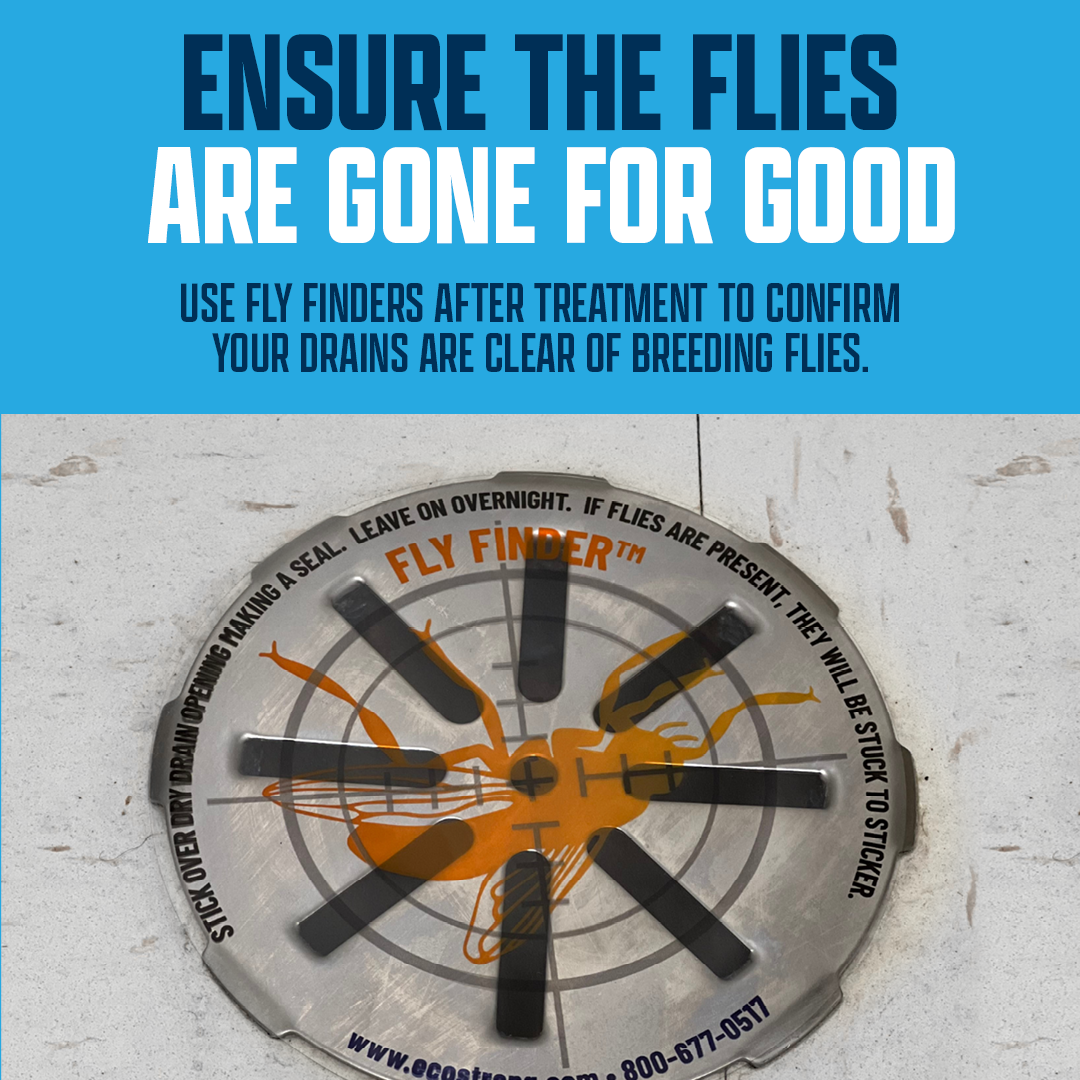 Drain and Fruit Fly Eliminator