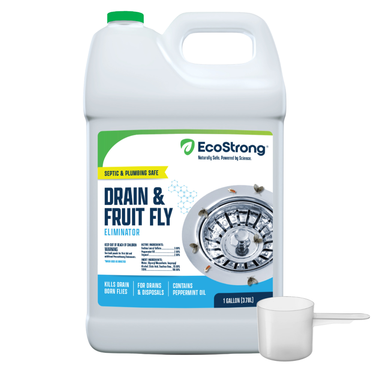 Drain and Fruit Fly Eliminator
