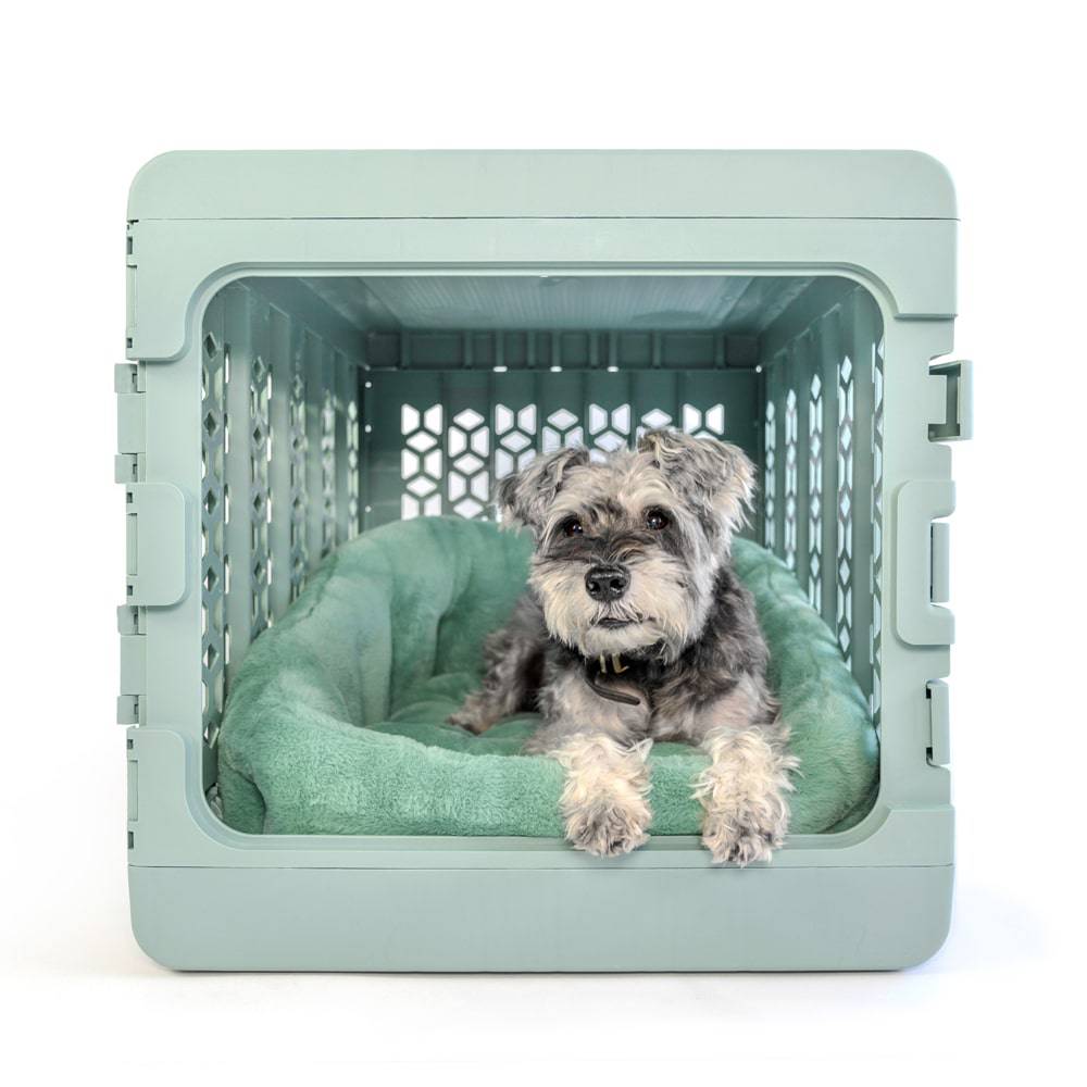 PAWD® Lounger | Pet Crate Calming dog bed
