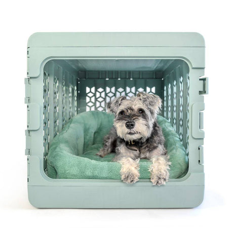 PAWD® Lounger | Pet Crate Calming dog bed