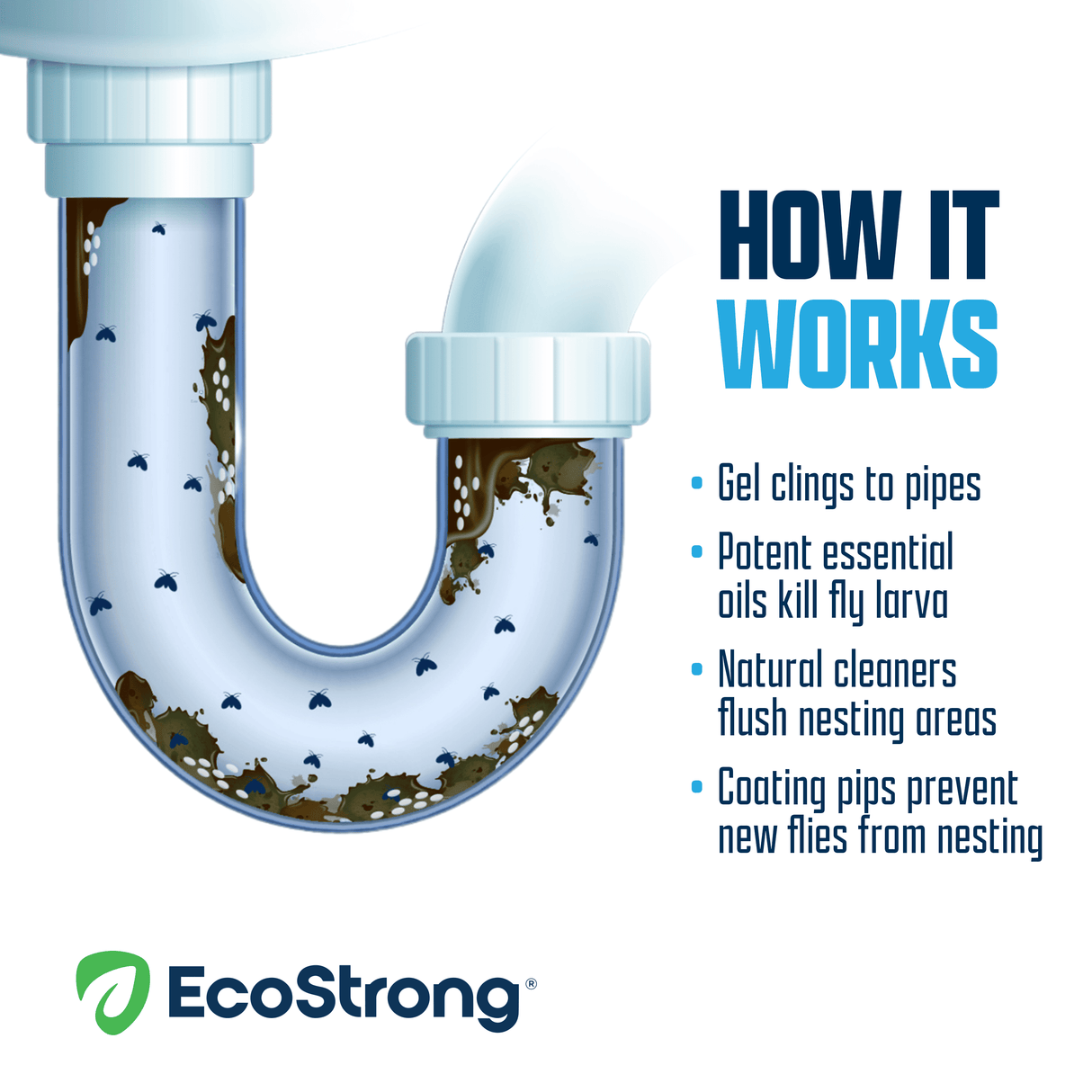 Drain and Fruit Fly Eliminator
