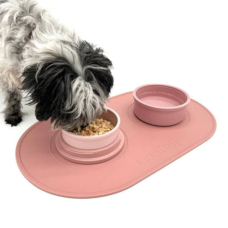 Portabowls | Portable travel & home dog bowl set