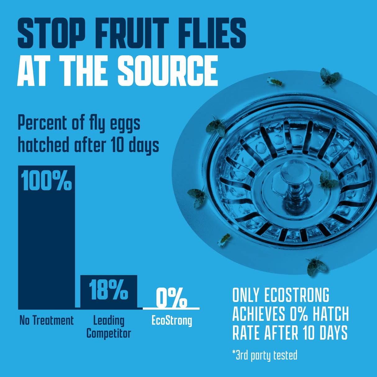 Drain and Fruit Fly Eliminator