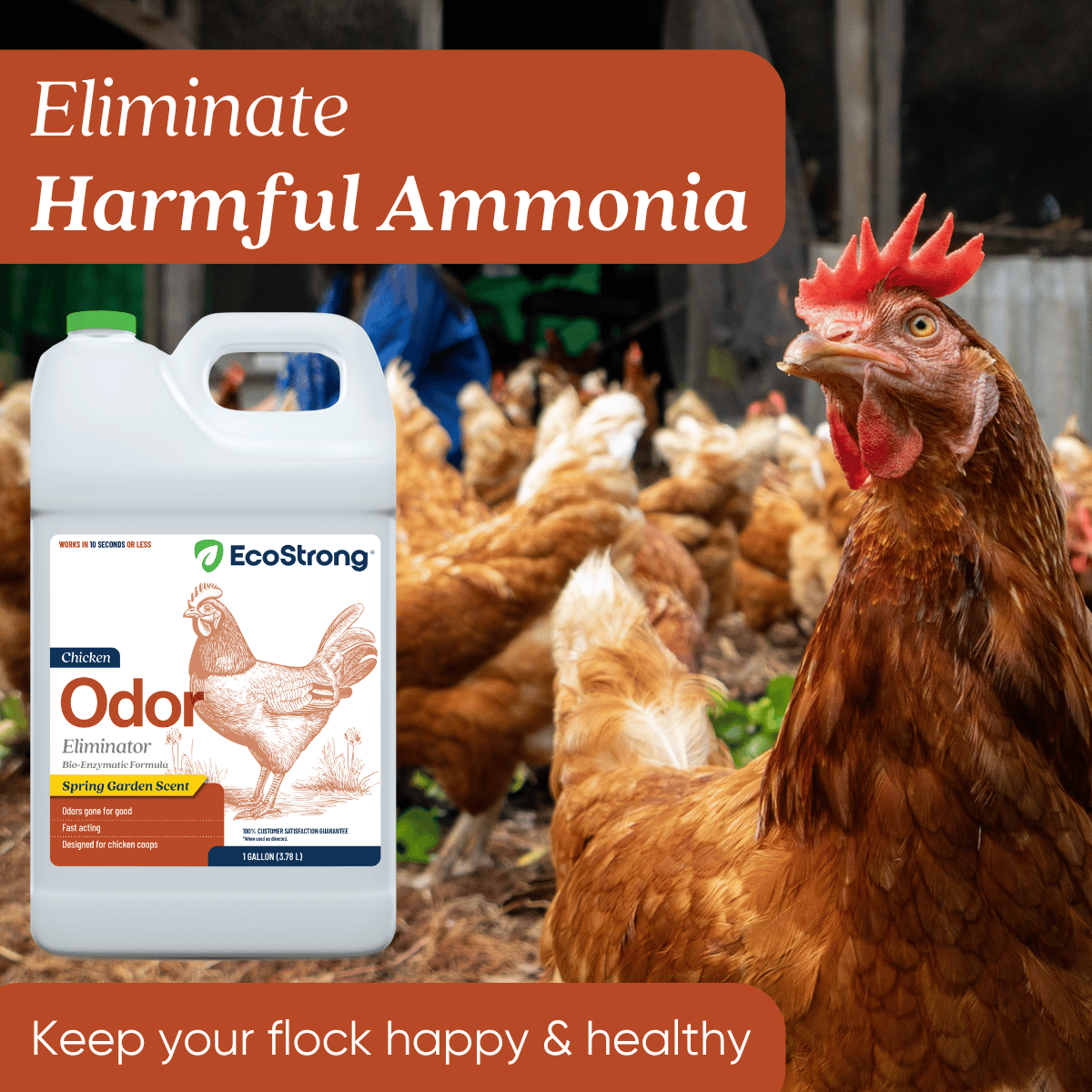 Chicken Coop Odor Eliminator