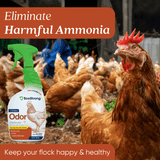 Chicken Coop Odor Eliminator