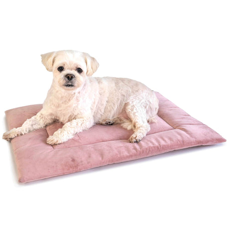 PAWD® Pad | Pet Crate liner bed
