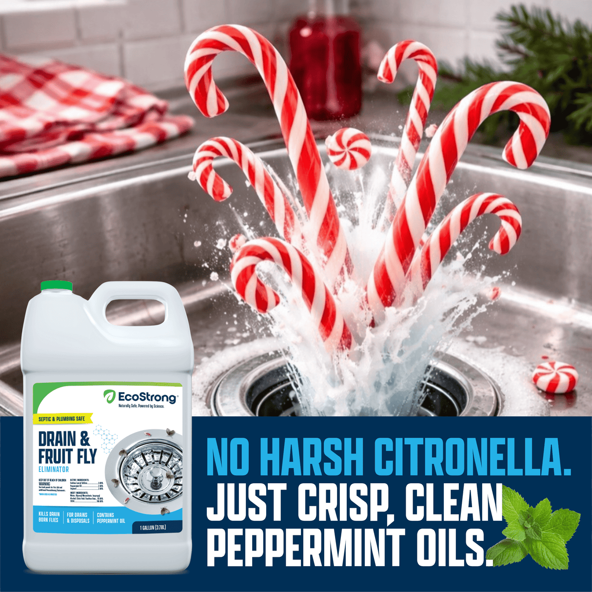Drain and Fruit Fly Eliminator