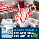 Drain and Fruit Fly Eliminator