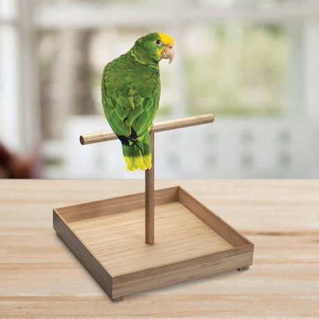 Bird Stand for Medium to Large Birds - Magnadyne