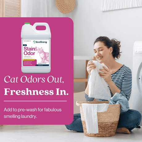 Cat Stain and Odor Eliminator - Magnadyne