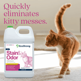 Cat Stain and Odor Eliminator - Magnadyne