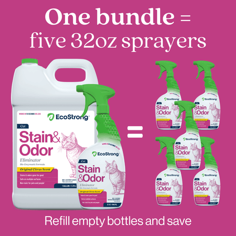 Cat Stain and Odor Eliminator - Magnadyne