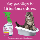 Cat Stain and Odor Eliminator - Magnadyne