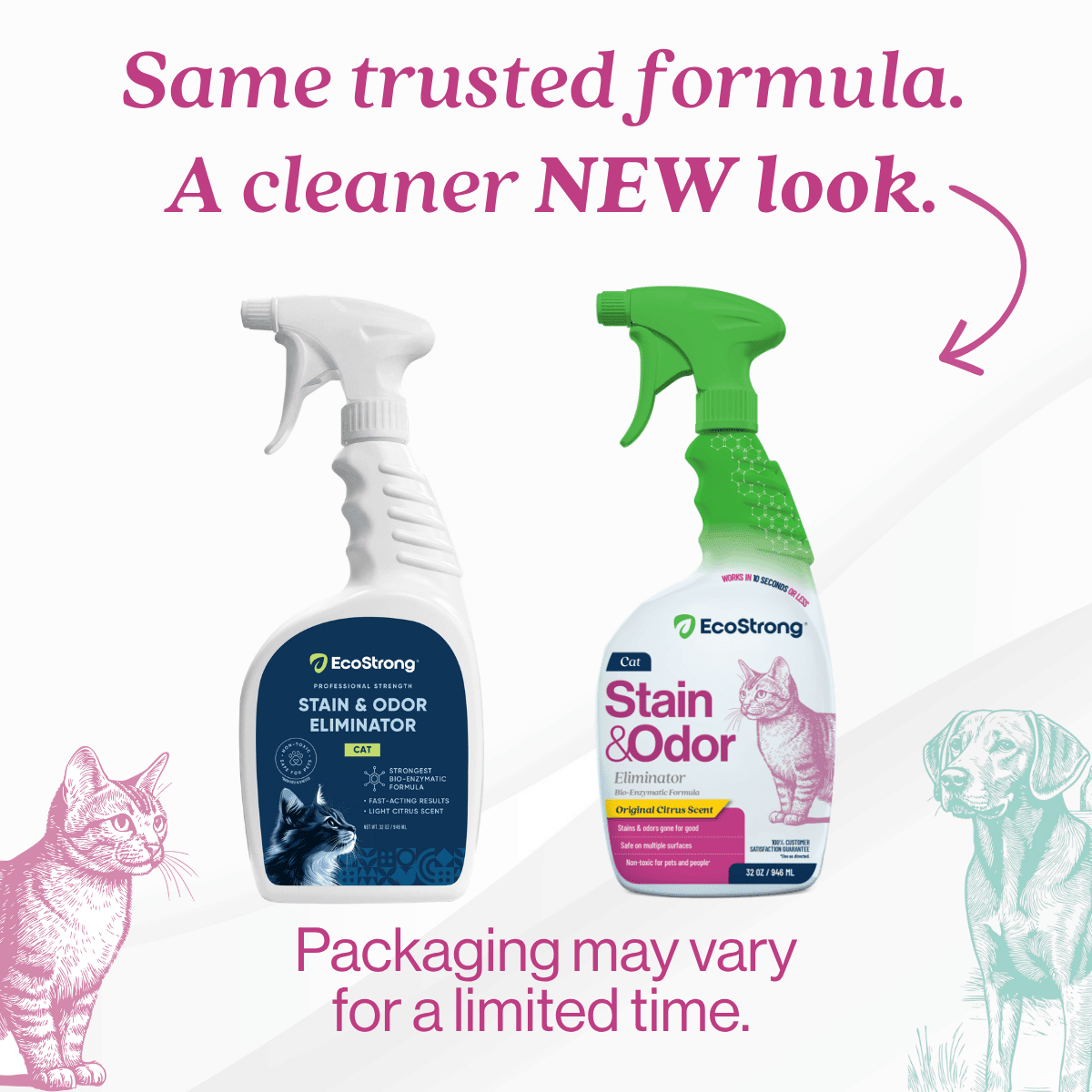 Cat Stain and Odor Eliminator - Magnadyne