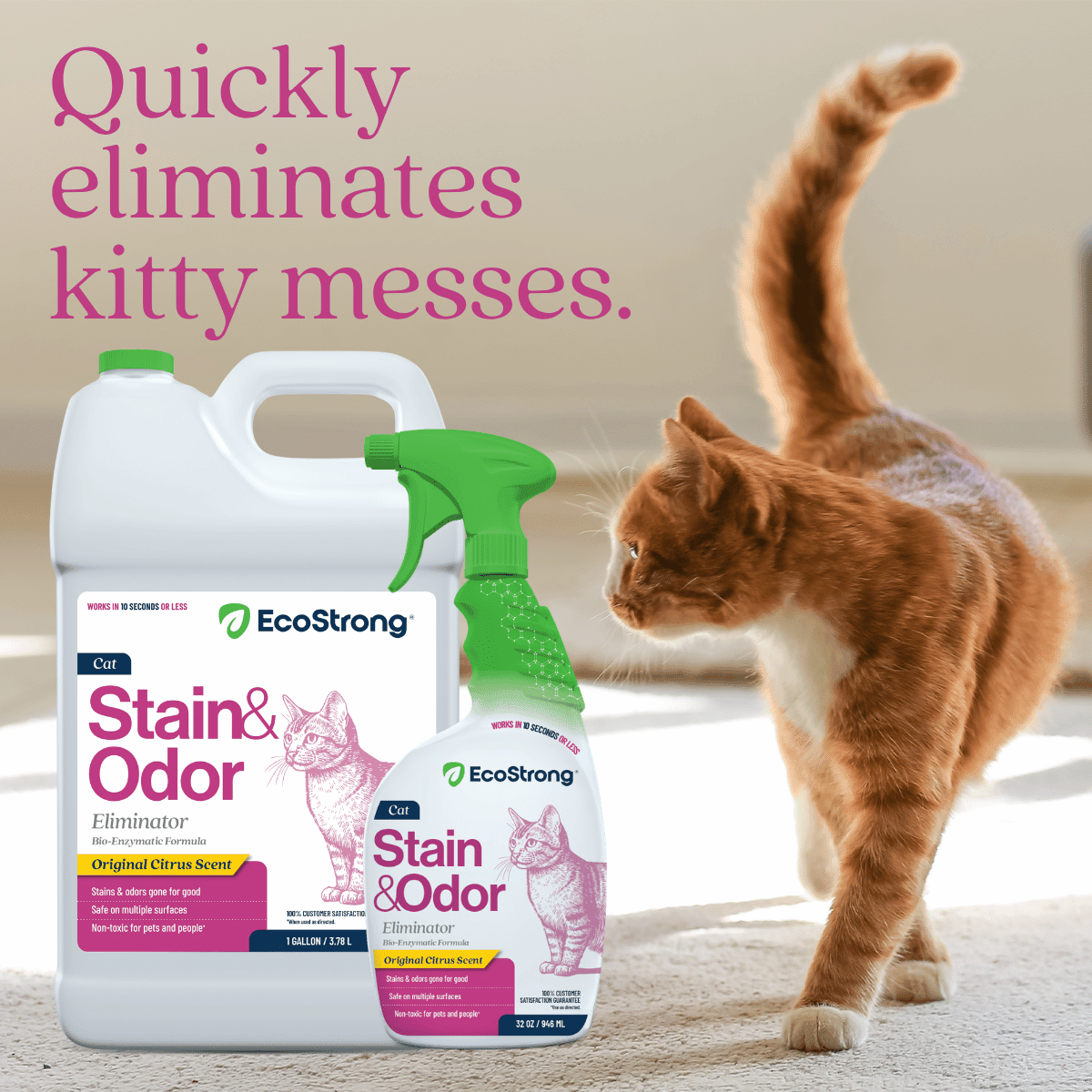 Cat Stain and Odor Eliminator - Magnadyne