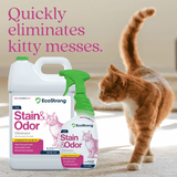 Cat Stain and Odor Eliminator - Magnadyne